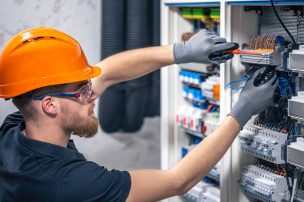Best Electric Panel Repair  in South Milwaukee, WI
